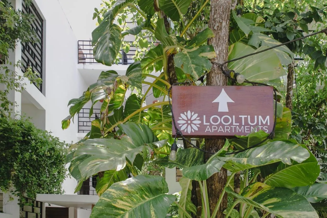 Apartamento Lumina At Looltum Tulum 0*,
